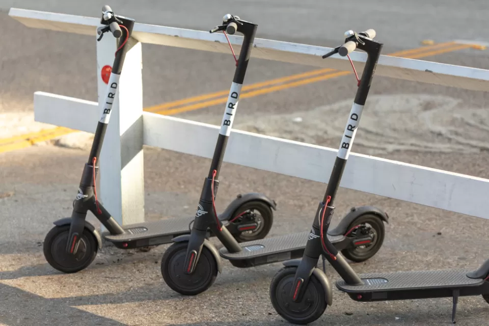 Electric Scooters